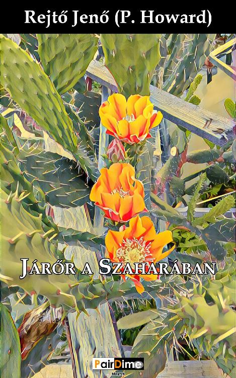 Járőr a Szaharában